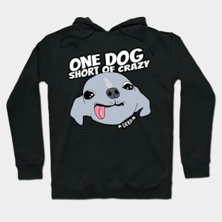 One dog short of crazy Hoodie